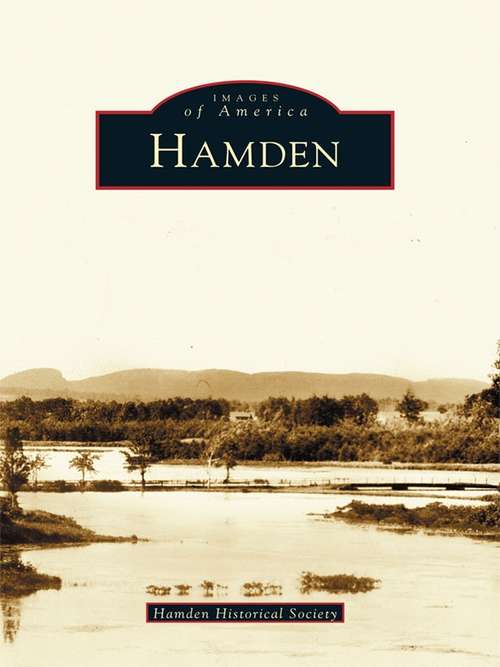 Book cover of Hamden