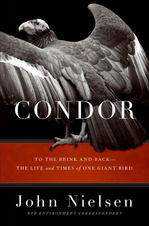 Book cover of Condor: To the Brink and Back—the Life and Times of One Giant Bird