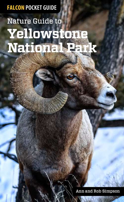 Book cover of Nature Guide to Yellowstone National Park (Nature Guides to National Parks Series)
