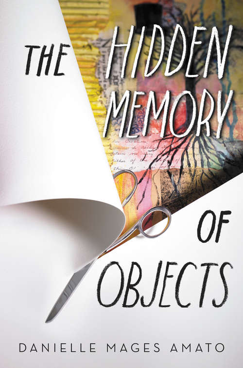 Book cover of The Hidden Memory of Objects