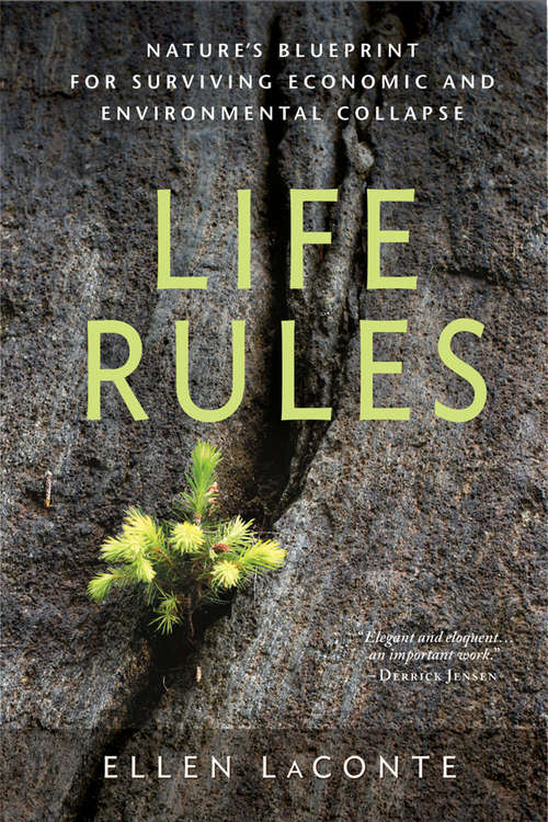 Book cover of Life Rules