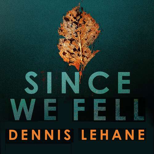 Book cover of Since We Fell