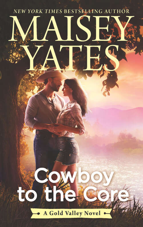 Book cover of Cowboy to the Core (Original) (A Gold Valley Novel #6)