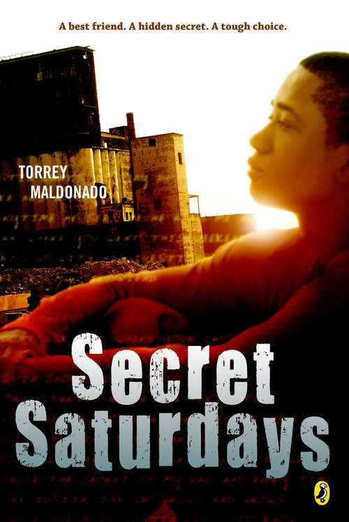 Book cover of Secret Saturdays