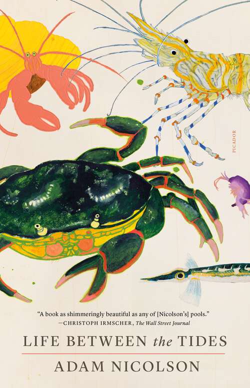 Book cover of Life Between the Tides