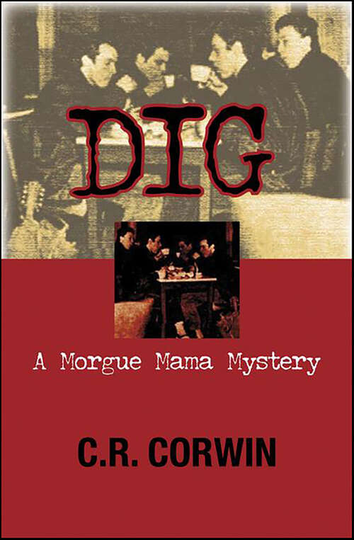 Book cover of Dig