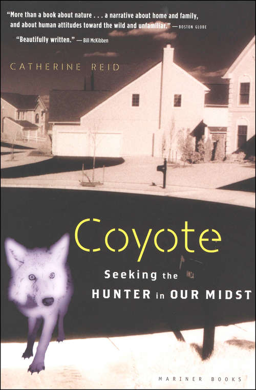 Coyote: Seeking the Hunter in Our Midst