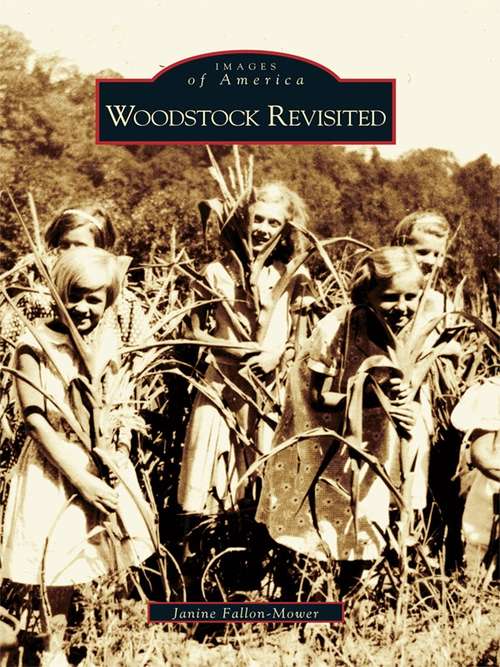 Book cover of Woodstock Revisited