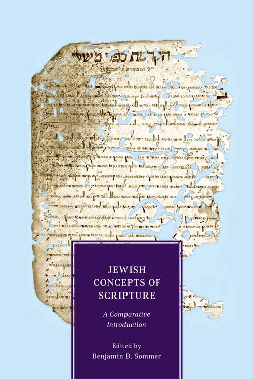 Book cover of Jewish Concepts of Scripture: A Comparative Introduction