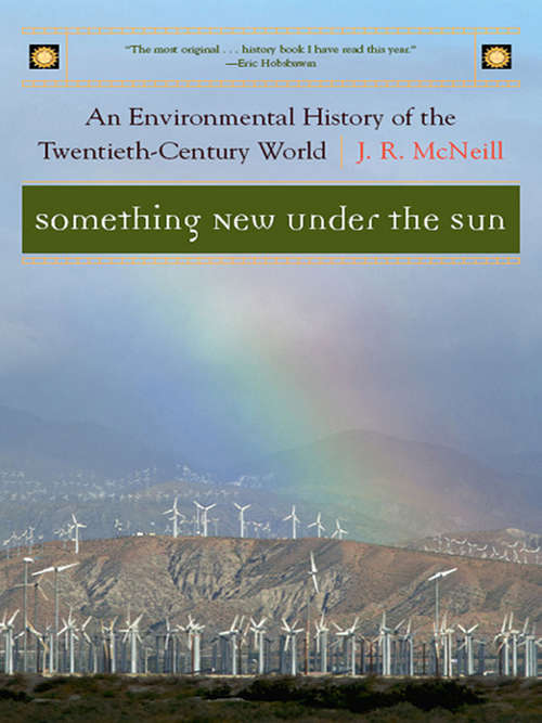Something New Under the Sun: An Environmental History of the Twentieth-Century World (The Global Century Series)