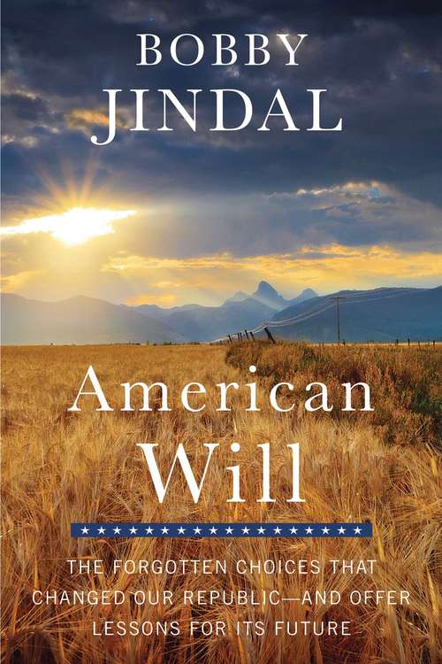 Book cover of American Will