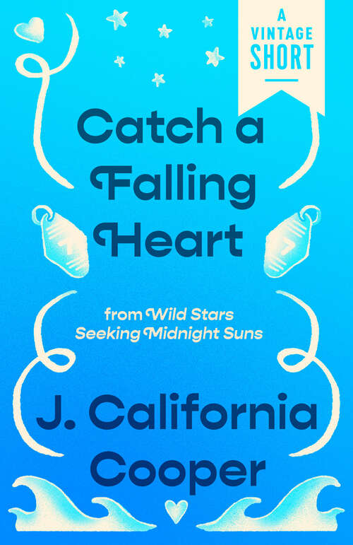 Book cover of Catch a Falling Heart: from Wild Stars Seeking Midnight Suns (A Vintage Short)