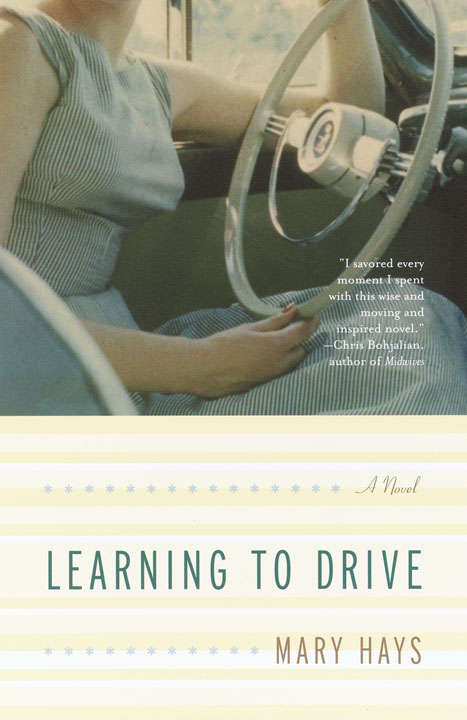 Learning to Drive: A Novel