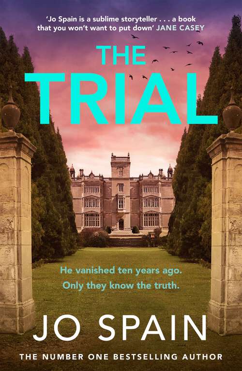 Book cover of The Trial: the new gripping page-turner from the author of THE PERFECT LIE