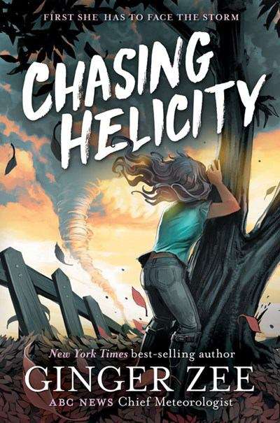 Book cover of Chasing Helicity