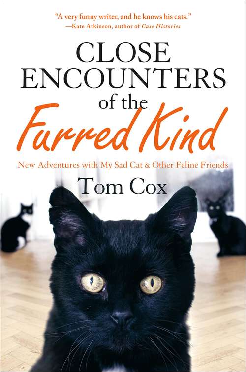 Book cover of Close Encounters of the Furred Kind: New Adventures with My Sad Cat & Other Feline Friends
