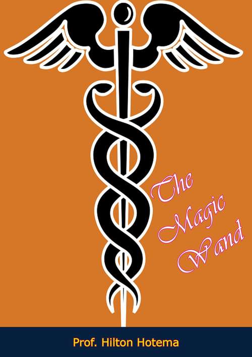 Book cover of The Magic Wand