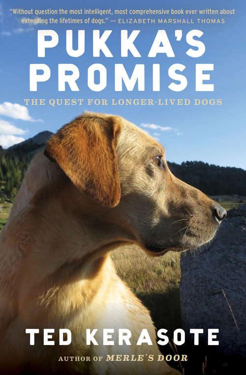 Book cover of Pukka's Promise: The Quest for Longer-Lived Dogs