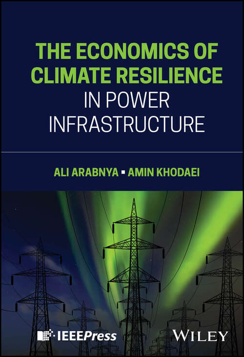 Book cover of The Economics of Climate Resilience in Power Infrastructure