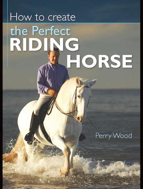 How to Create the Perfect Riding Horse