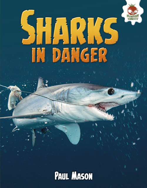 Sharks In Danger