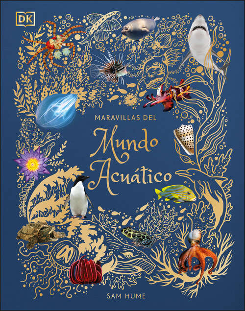 Book cover of Maravillas del mundo acuático (DK Children's Anthologies)