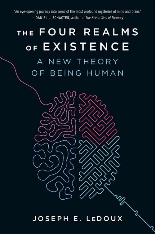 Book cover of The Four Realms of Existence: A New Theory of Being Human