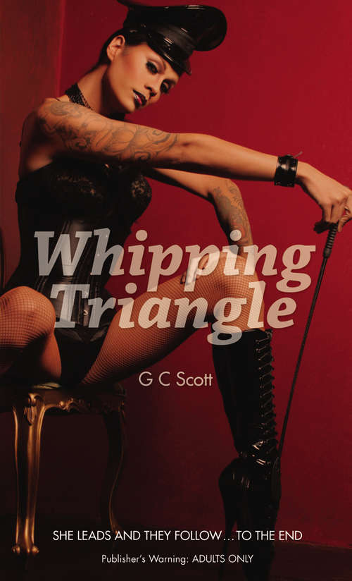Book cover of Whipping Triangle