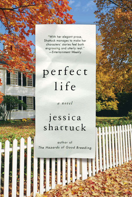 Book cover of Perfect Life: A Novel