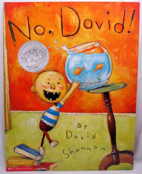 Book cover of No, David!