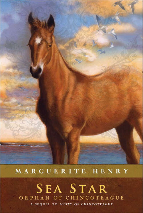 Book cover of Sea Star: Orphan of Chincoteague (Misty of Chincoteague #2)