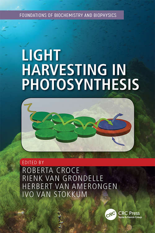 Light Harvesting in Photosynthesis (Foundations of Biochemistry and Biophysics)