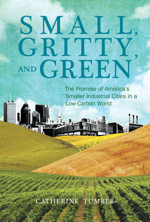Book cover of Small, Gritty, and Green: The Promise of America's Smaller Industrial Cities in a Low-Carbon World (Urban and Industrial Environments)