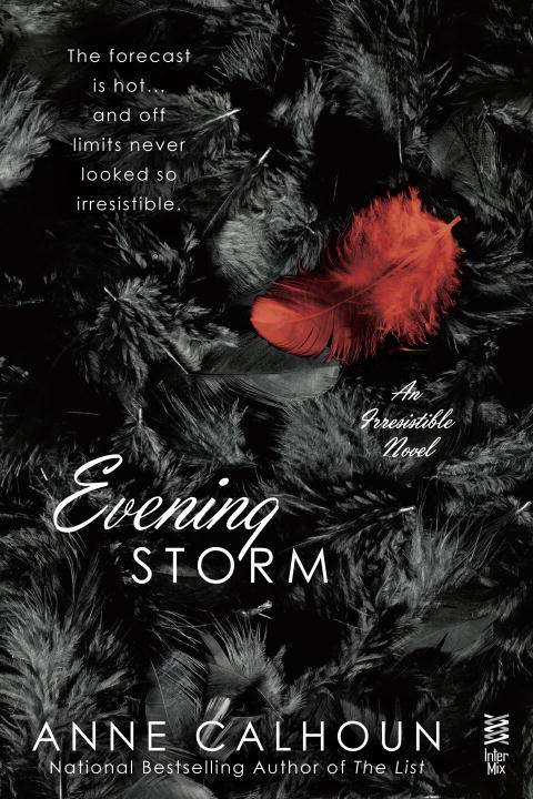 Book cover of Evening Storm