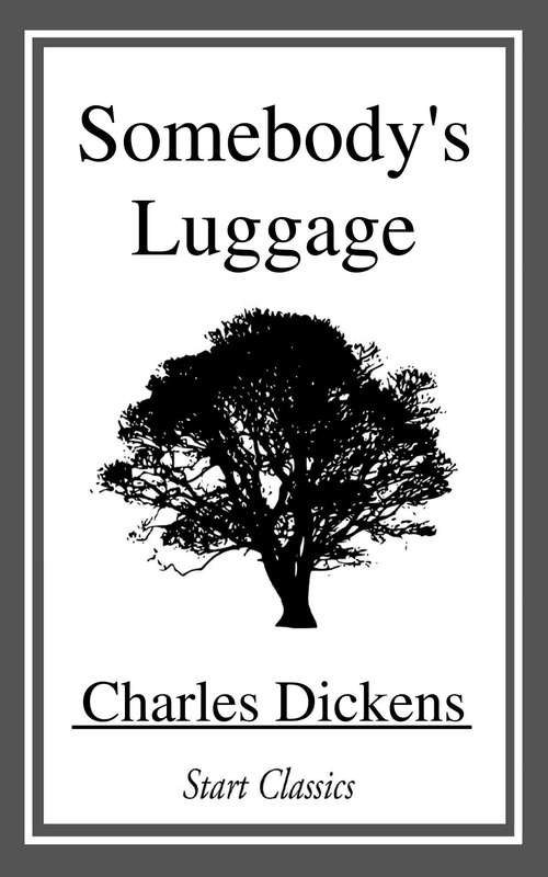 Book cover of Somebody's Luggage