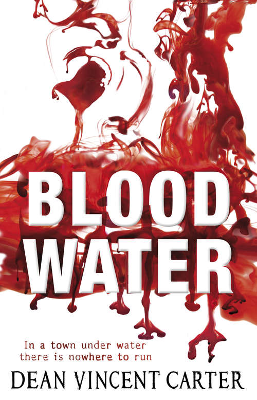 Book cover of Blood Water