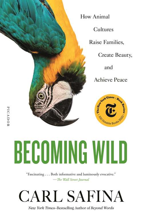 Book cover of Becoming Wild: How Animal Cultures Raise Families, Create Beauty, and Achieve Peace