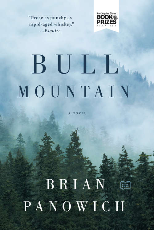 Book cover of Bull Mountain
