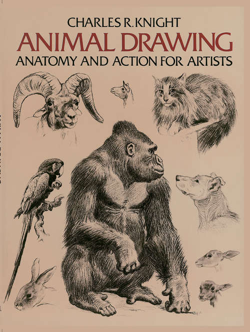 Book cover of Animal Drawing: Anatomy and Action for Artists