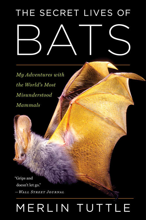 Book cover of The Secret Lives of Bats: My Adventures with the World's Most Misunderstood Mammals