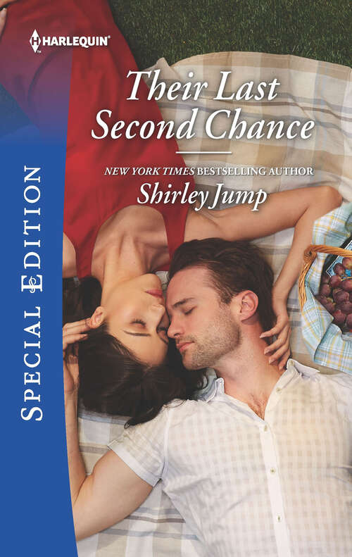 Book cover of Their Last Second Chance (Original) (The Stone Gap Inn #2)