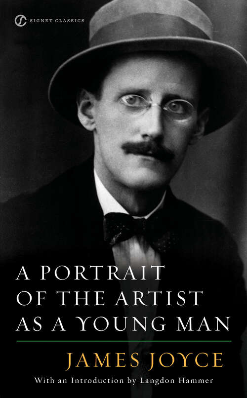 Book cover of A Portrait of the Artist as a Young Man