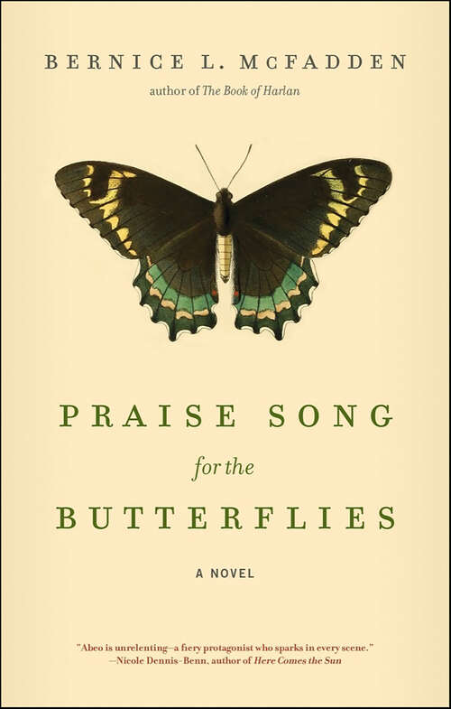 Book cover of Praise Song for the Butterflies: A Novel