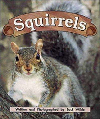 Squirrels: Squirrels