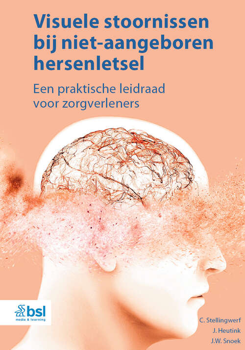 Book cover of Visuele stoornissen bij niet-aangeboren hersenletsel: Een praktische leidraad voor zorgverleners