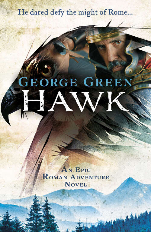 Book cover of Hawk