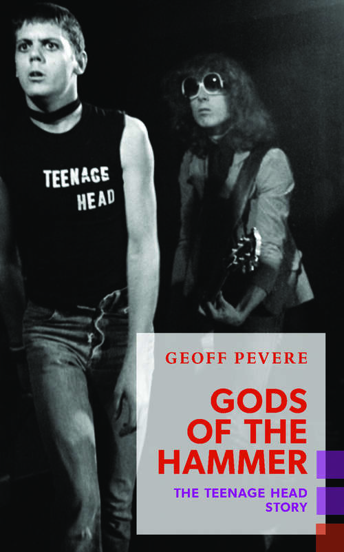 Book cover of Gods of the Hammer: The Teenage Head Story (Exploded Views)