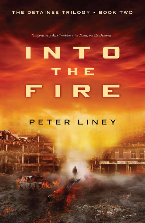 Book cover of Into The Fire