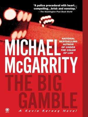 Book cover of The Big Gamble