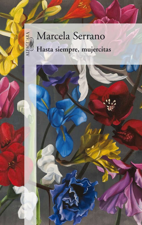 Book cover of Hasta siempre, mujercitas